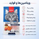 غذای خشک گربه بالغ ونپی مدل گرین فری سالمون وزن 1.5کیلوگرم