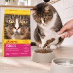 غذای خشک گربه عقیم شده جوسرا مدل Indoor وزن 2 کیلوگرم