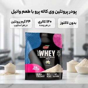 پودر پروتئین وی با طعم وانیل کاله پرو – 650 گرم
